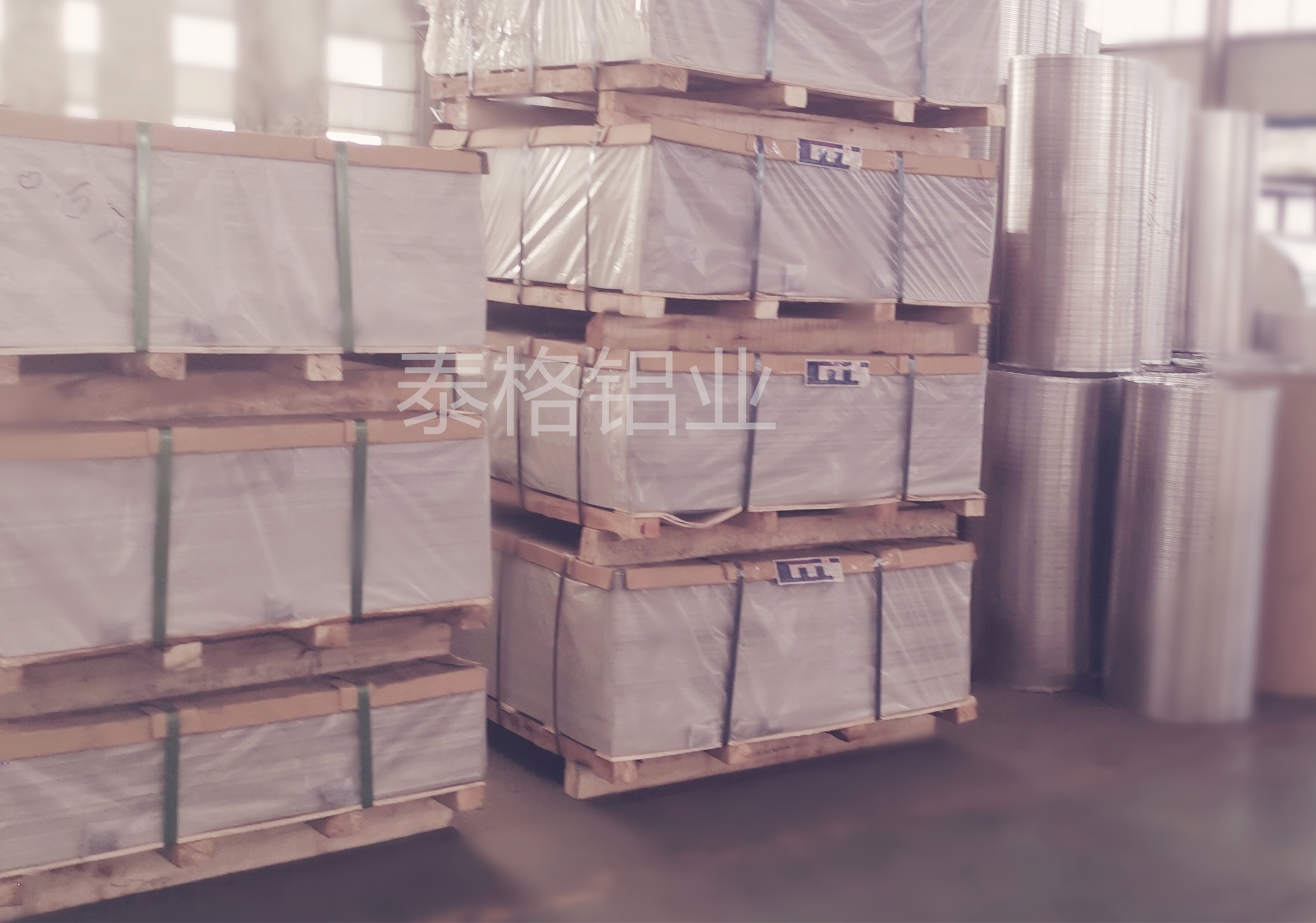 1580658945108385.jpg 1580658945108385.jpg