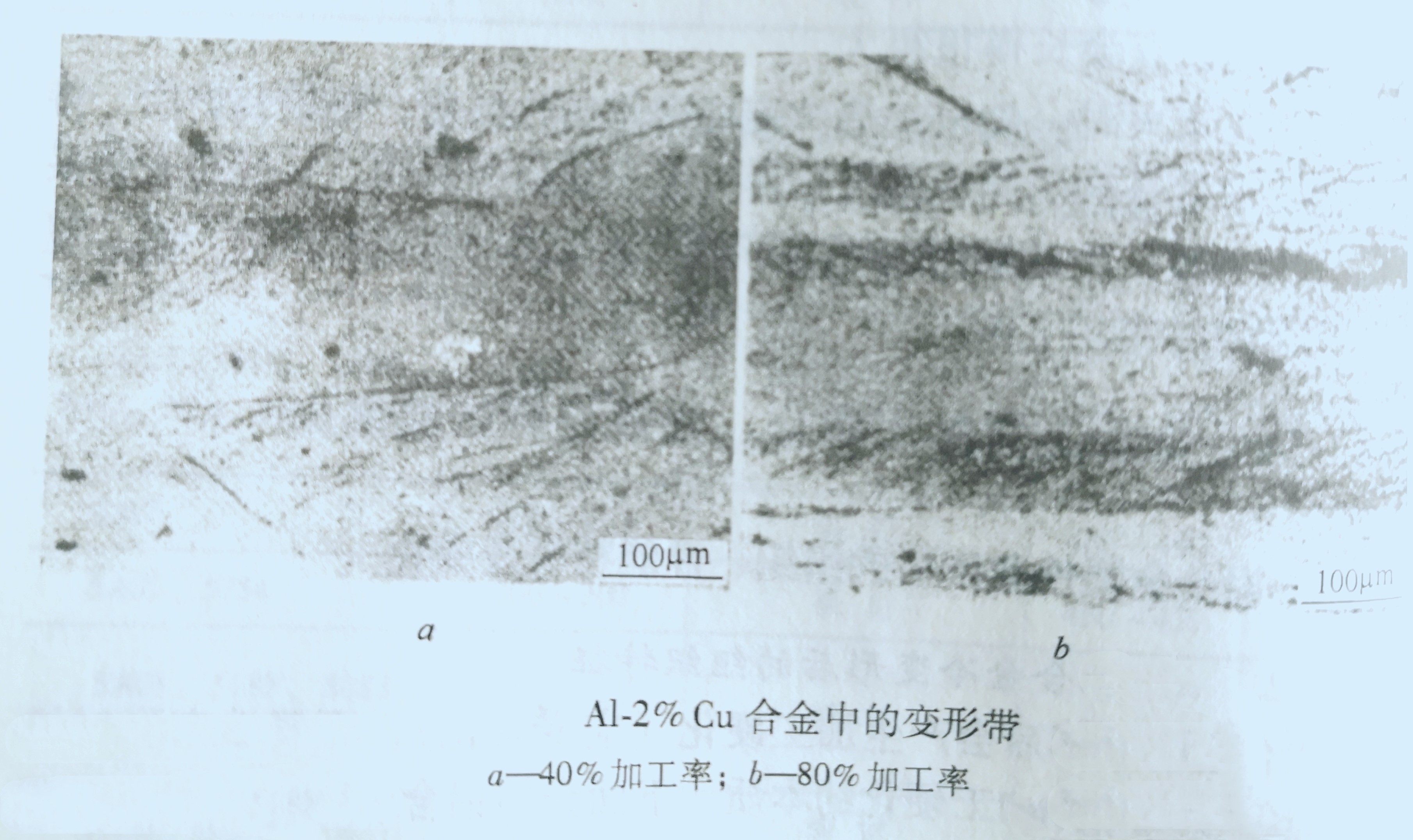 山东铝板厂家 山东铝板厂家